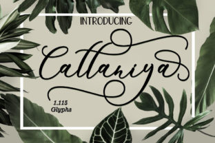Cattaniya: A Fresh Handmade Calligraphy Font for Creative Expression